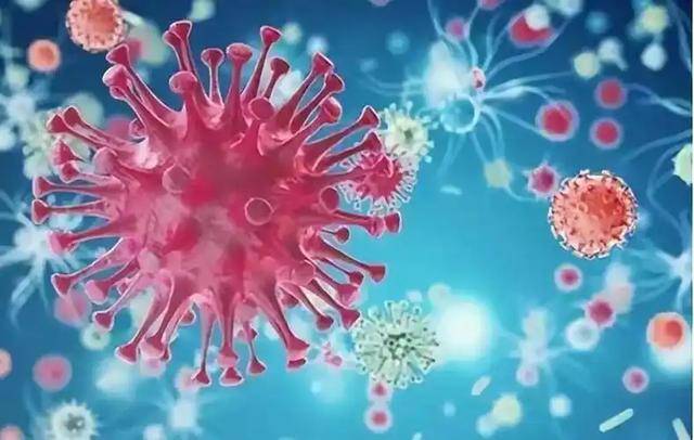 “最新新冠病毒” 最新新冠病毒毒株？-第2张图片