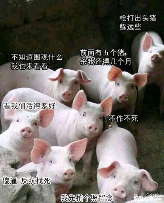 丹东最新疫情通报-丹东疫情最新动态
