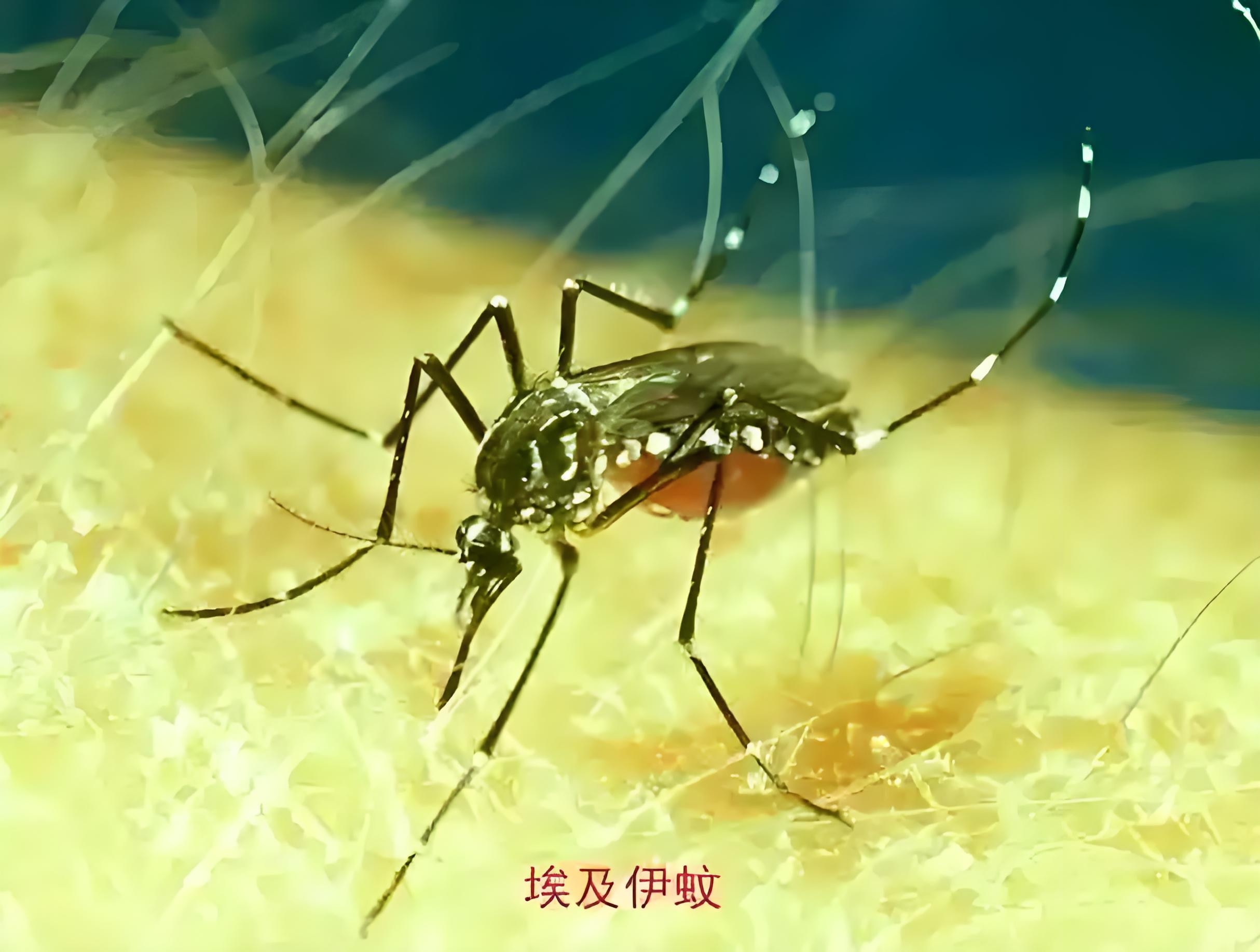 “31省增14例境外输入	” 31省新增24例均为境外输入？-第2张图片