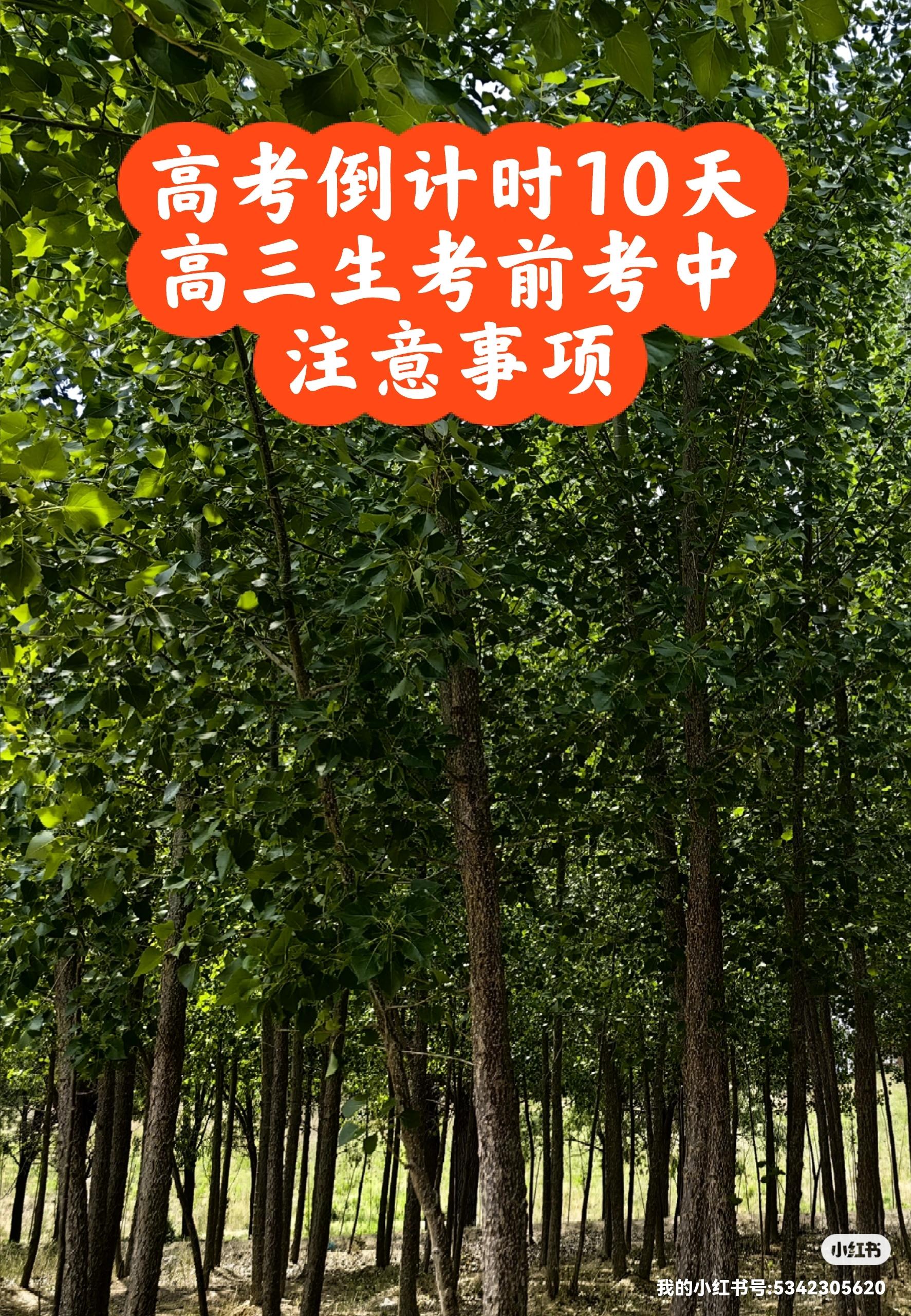 今年高考一共考几天︰(今年高考到底考几天)-第1张图片