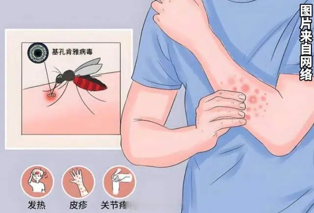 「北京的疫情最新通报」〃北京的最新疫情情况通报-第3张图片