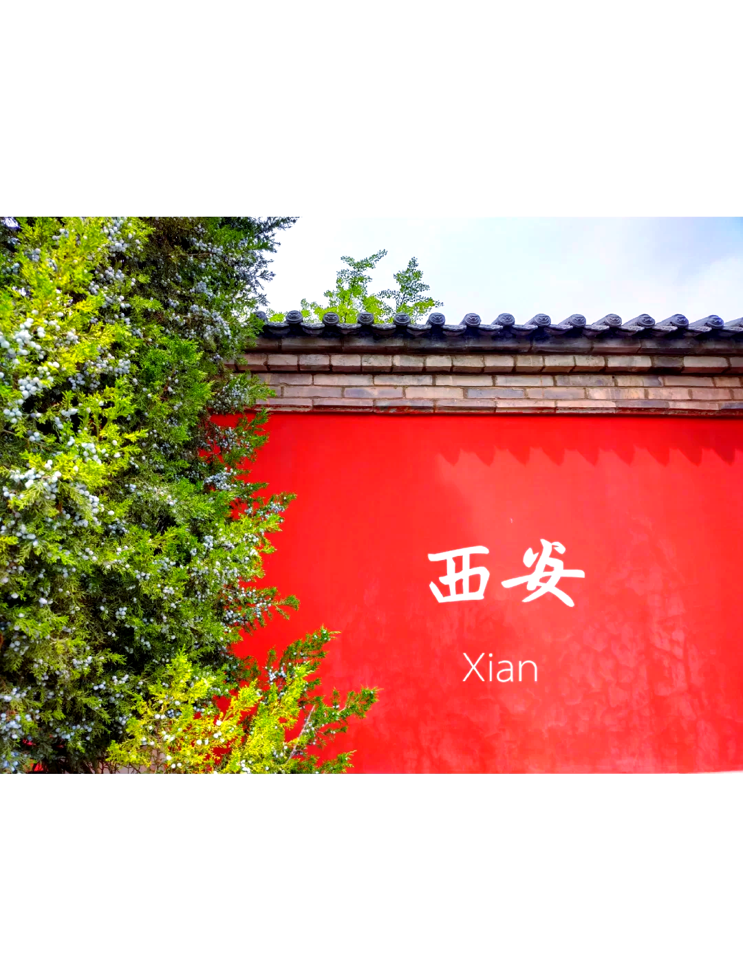 【西安疫情最新/西安疫情最新动态】