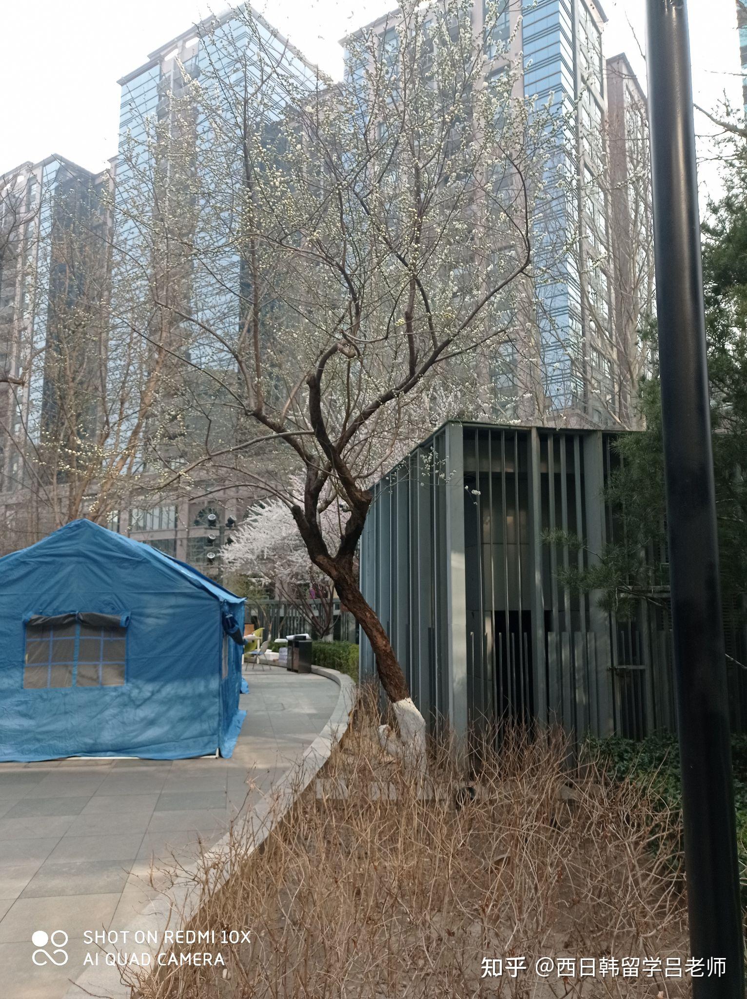 北京确诊-北京确诊H5N6病例