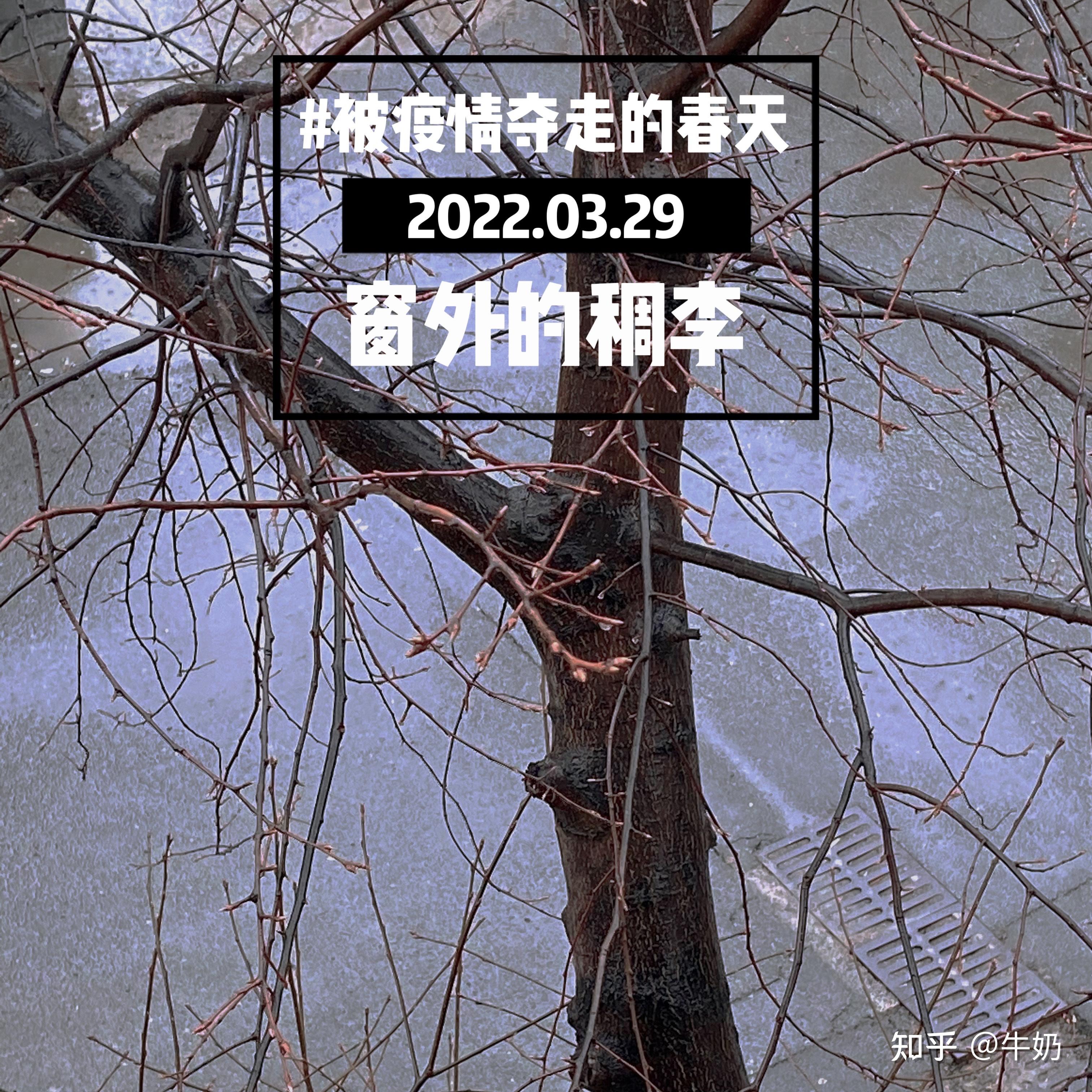 “长春什么时候解封” 长春什么时候解放？-第1张图片