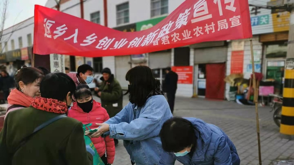 返乡政策查询︰(返乡入乡)