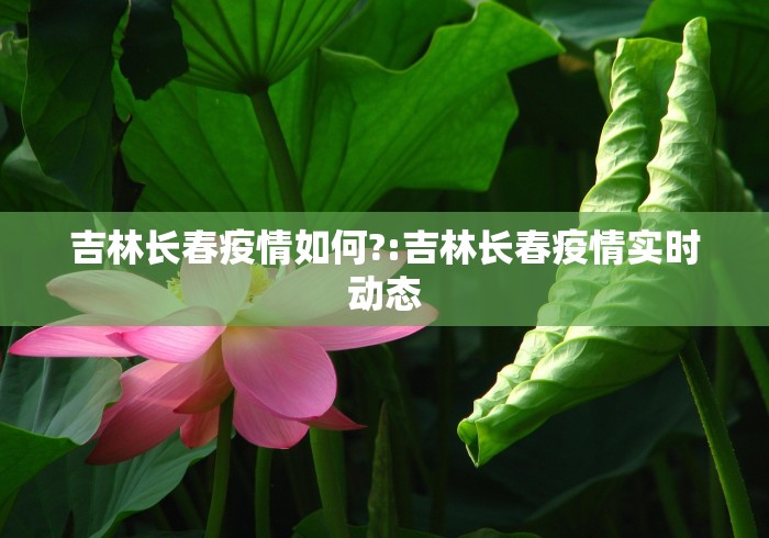 【31省新增确诊11例6例为本土/31省区市新增13例本土确诊】