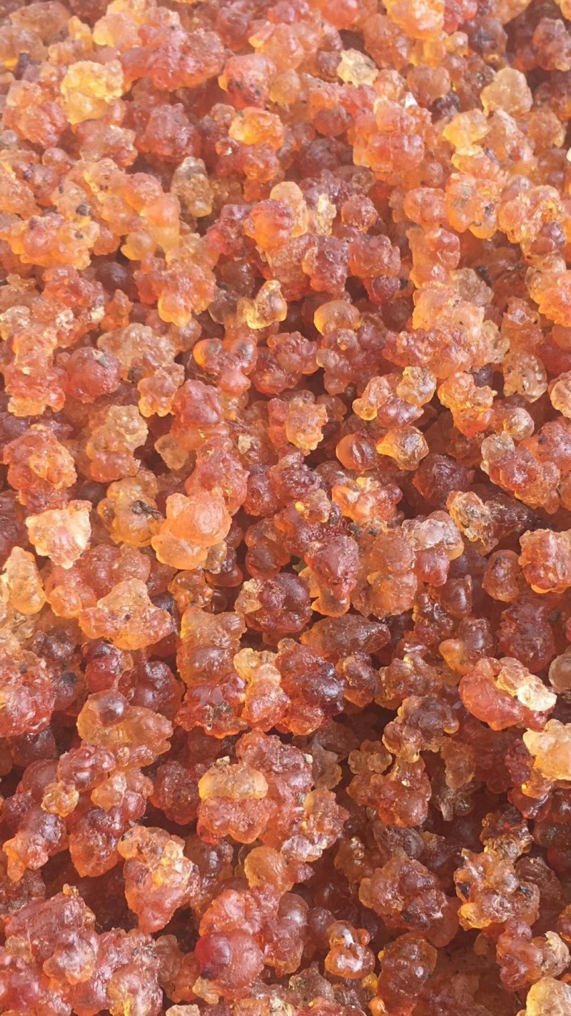 【巴西政府大量删除疫情数据/一亩桃树能产多少桃胶】-第3张图片