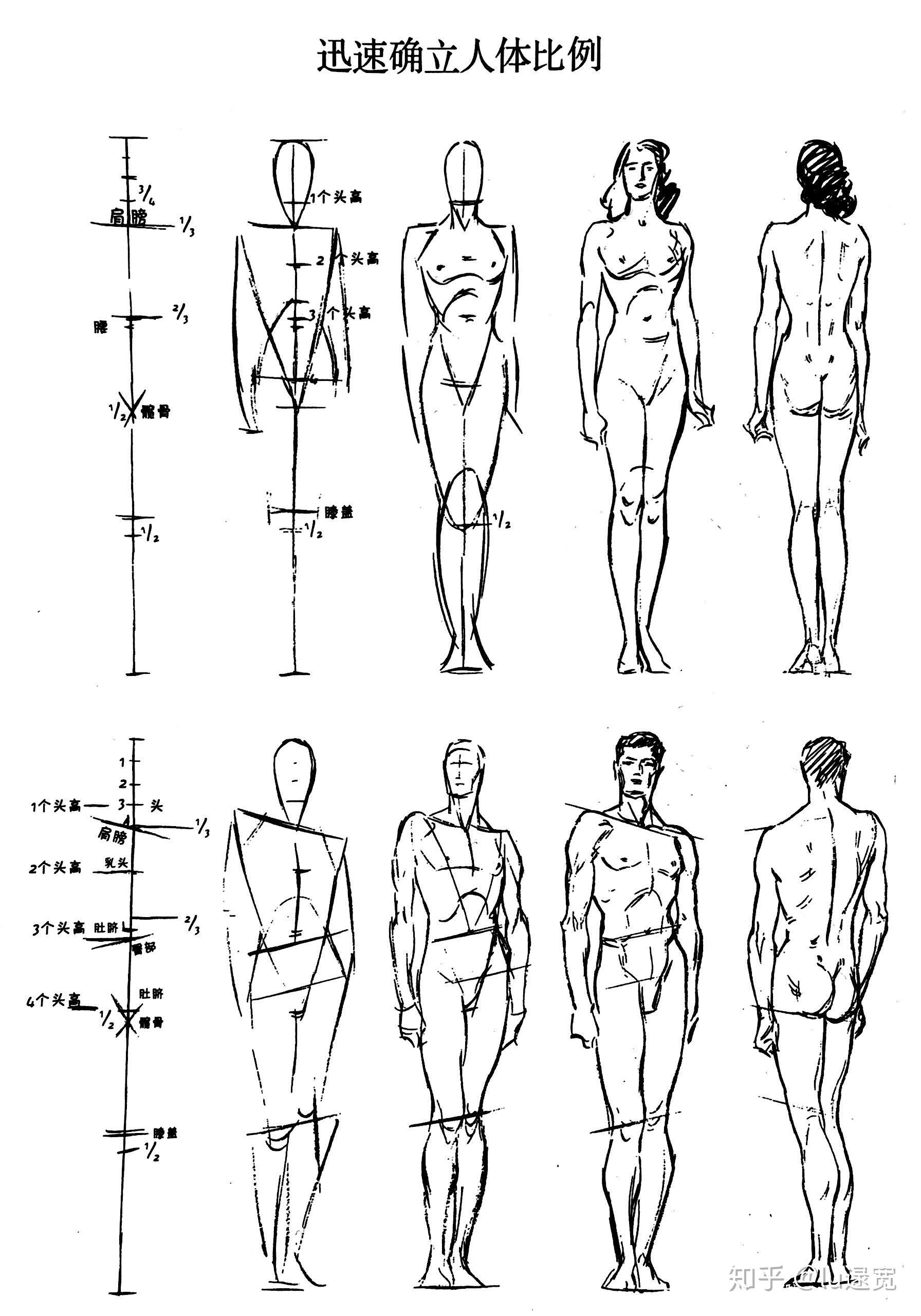 闭幕式冬奥会时间-人体结构几何体速写-第1张图片