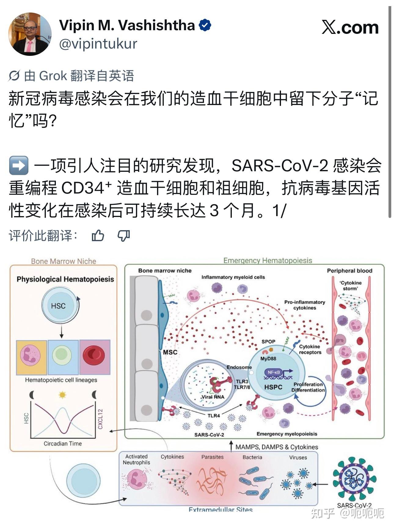 今天新疫情最新消息,2026新冠疫情得最新消息-第1张图片