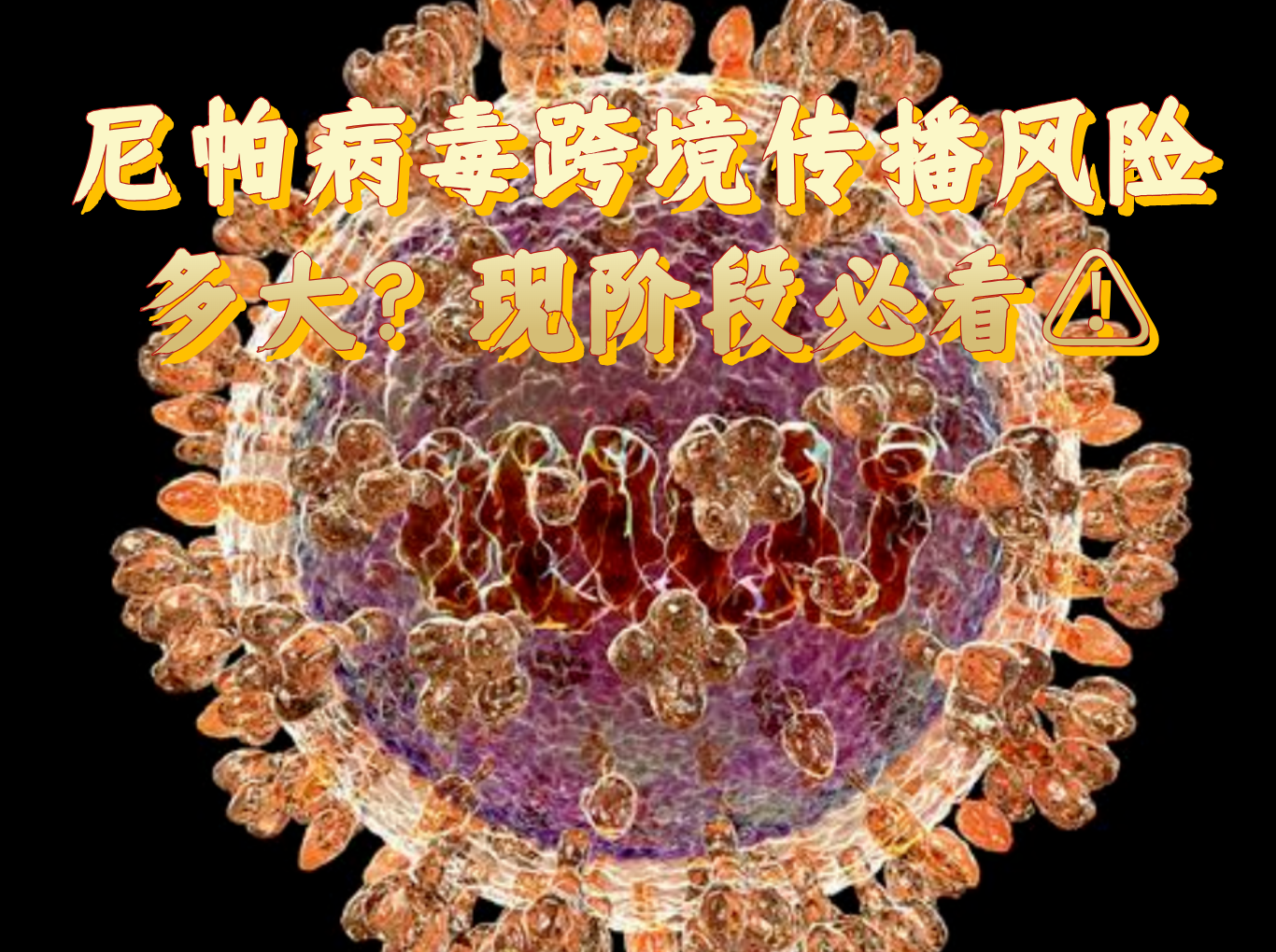 【上海新增一个中风险地区/上海回应尼帕病毒传播风险】