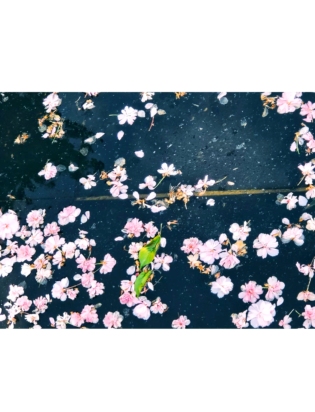 西安最近的疫情情况︰(西安近期疫情严重吗最新消息)
