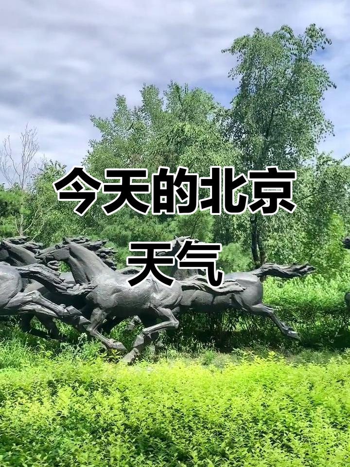 【北京三地降为低风险地区/北京多地出现分散雷阵雨】
