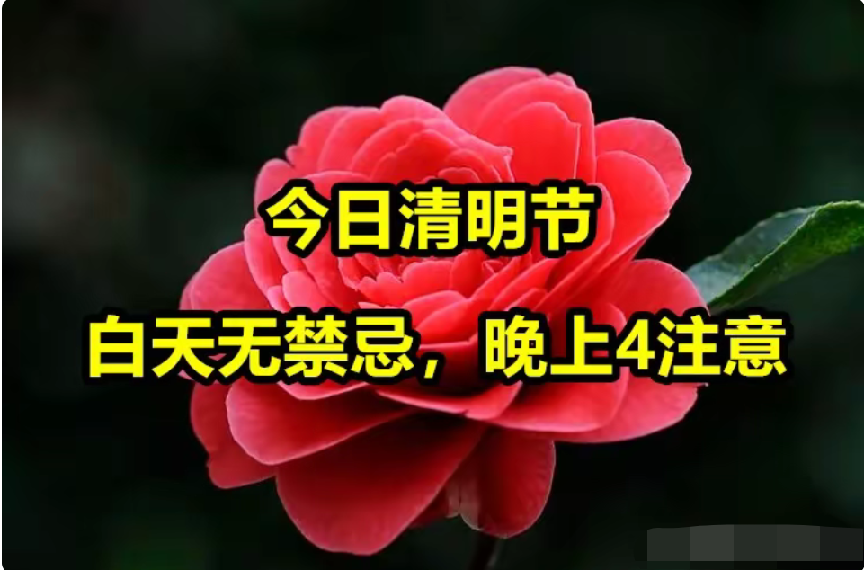 「今日清明节」〃今年清明节是几月几日星期几-第1张图片