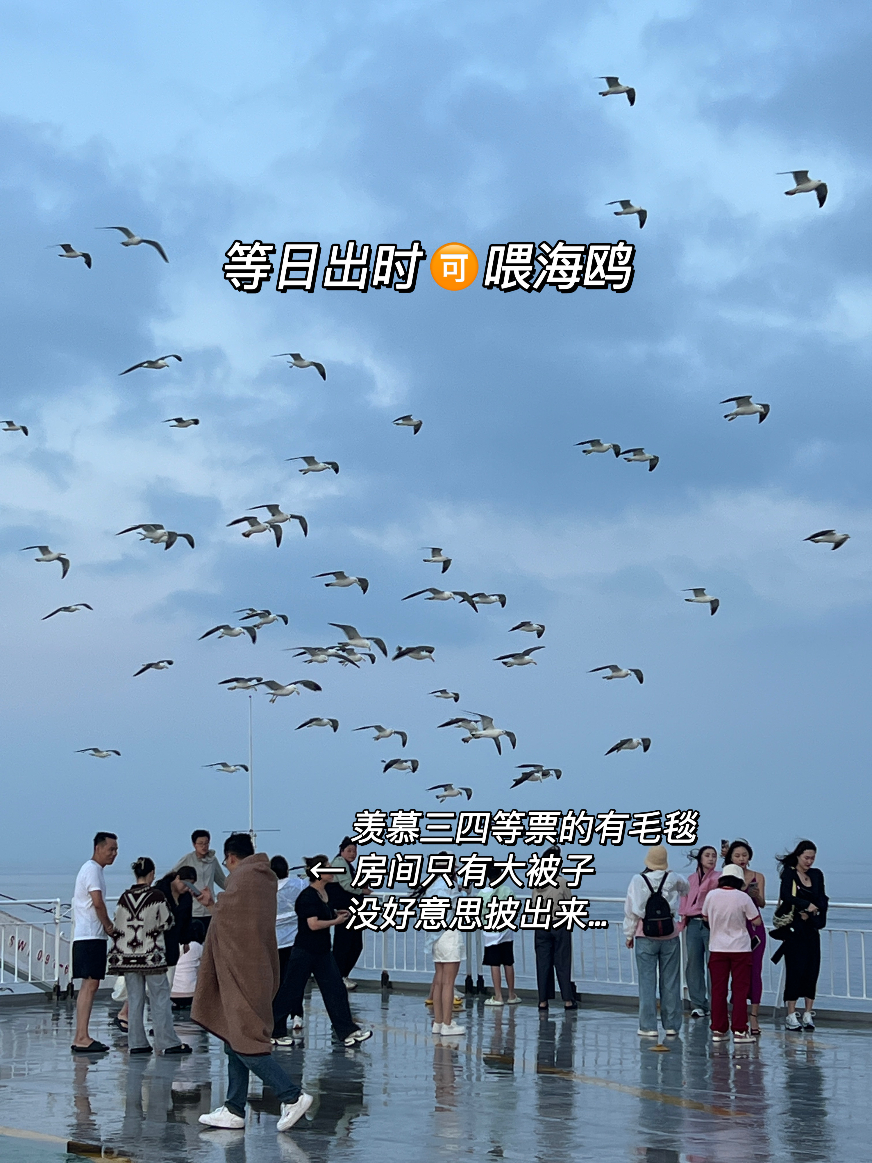 山东烟台到大连的船票,烟台到大连的船票费用优惠信息