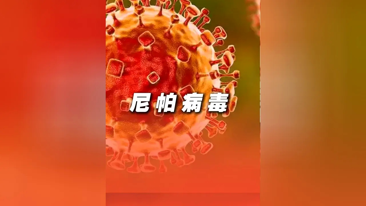 西安疫情的最新动态-2026西安疫情最新进展